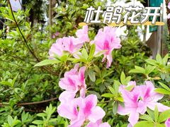 -广州市白云山风景名胜区