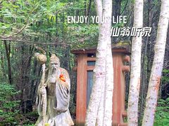 -汤旺河林海奇石景区