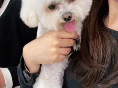 -宠福鑫康馨动物医院·骨科·眼科