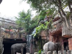 -长鹿旅游休博园