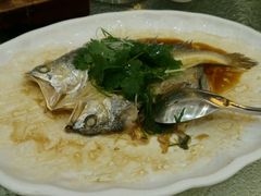 -北海渔村酒楼·粤菜海鲜点心(新华店)