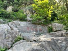 -泰山风景名胜区