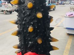 -王四营海鲜市场