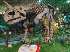 -诸城市恐龙博物馆