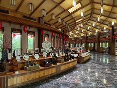 -雁南飞茶田景区