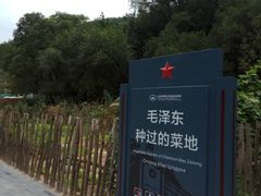 -延安杨家岭革命旧址