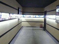 -华美国际影城(旧宫永辉店)