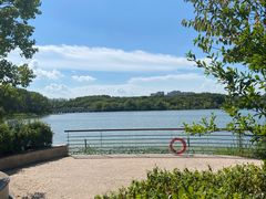 -昆山城市生态森林公园