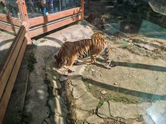 -栾川竹海野生动物园