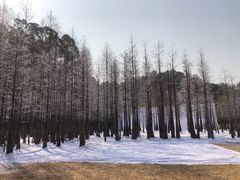 -番禺大夫山森林公园
