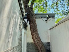 -北京鲁迅博物馆(北京新文化运动纪念馆鲁博馆区)