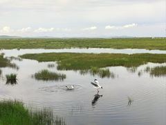-花湖生态旅游区