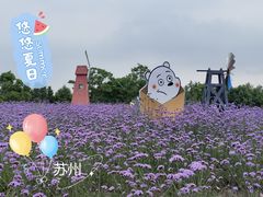 -同里国家湿地公园