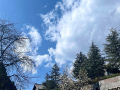 -时光吧·大堂吧·丽江和府洲际度假酒店