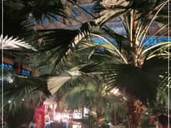 -郑州银基黄帝宫御温泉