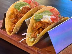 墨西哥鸡肉塔克-Famous肥猫墨西哥音乐餐吧(五棵松华熙LIVE店)