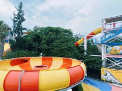 -巨鹏飞梦幻海岸