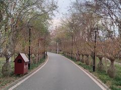 -武汉紫薇都市田园