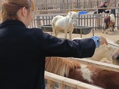 -水上乐园·欢乐世界