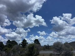 -悉尼歌剧院