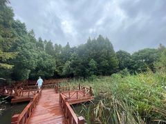 -上海吴淞炮台湾国家湿地公园