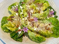 -蝶舍·MAISON PAPILLON