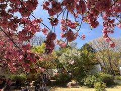 -洛阳市隋唐城遗址植物园