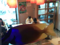 -琴寿司居酒屋(软件园店)