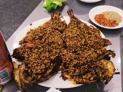 -松明一烤肉馆(鲁园店)
