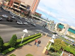 -拉斯维加斯永利酒店