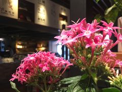 -阅·潮Readzone(珠海华发商都店)