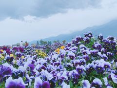 -丽江泸沽湖景区