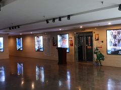 -天幕新彩云国际影城(激光巨幕店)