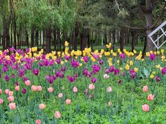 -长春公园(普阳街道)