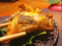 河豚唐扬-松涛日本料理