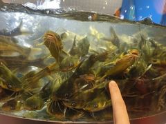 -老船舫·现做活鲜鱼馆(东郊记忆店)