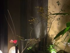 -觀芷隐轩