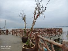 -霞山观海长廊