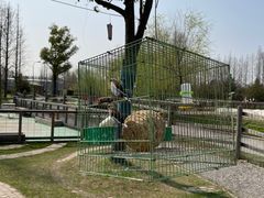 -前小桔亲子创意农场·草莓采摘·露营烧烤