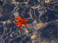 -大连金石滩绿发温泉假日酒店