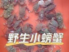 -南麂列岛