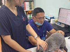 -北京观赏动物医院·24小时大型综合·猫专科·异宠专科