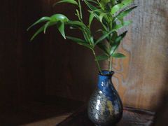 -静耳元気采耳·按摩·SPA(万象前海店)