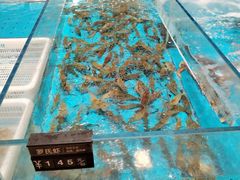 -艳阳天·非遗楚菜(武汉客厅店)