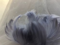 -Flora婚纱礼服定制租赁店