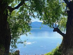 -西昌邛海湿地