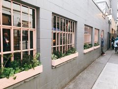 门面-The Pink Door