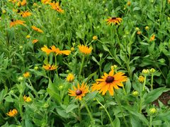 -野三坡刘家河高山漂流