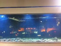 -至尊鲨鱼·原烹海鲜·新浙菜(拱宸桥店)