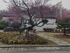-东方绿舟景区